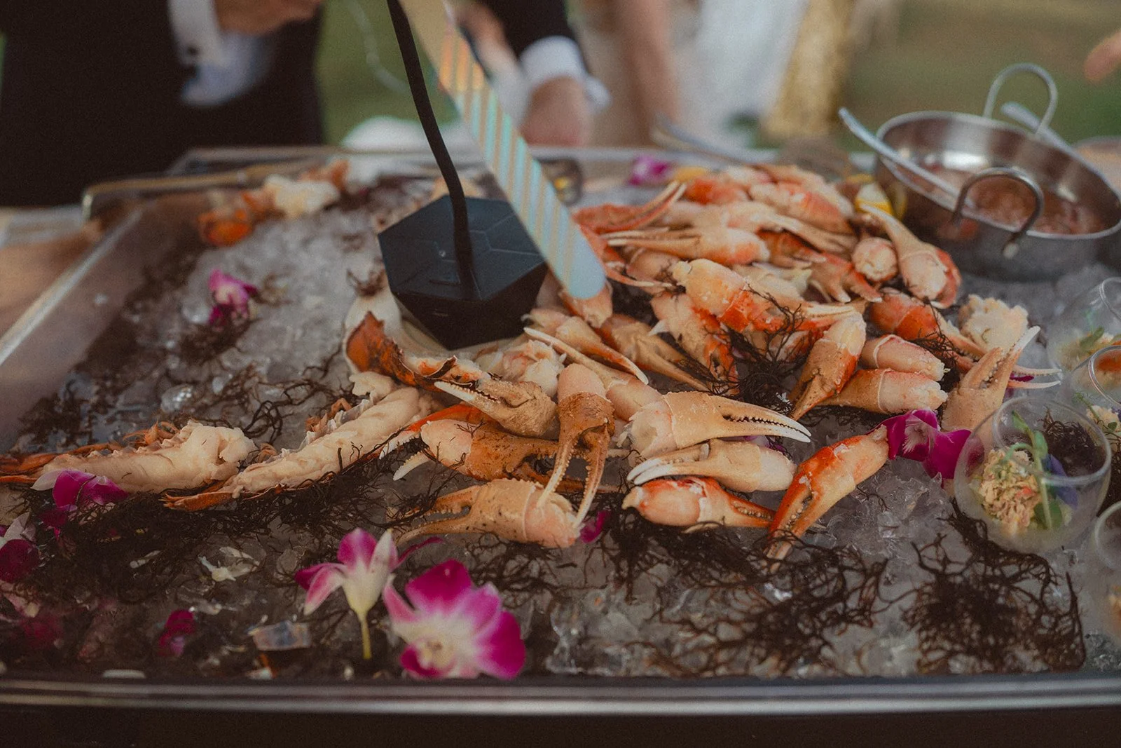 Angel and Andrew-00424.JPG