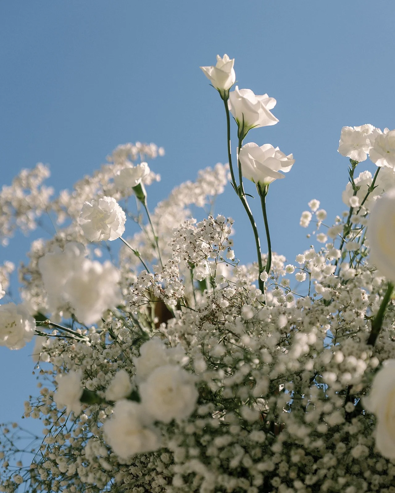 halekulani-waikiki-wedding-brenda-jason (28).JPG