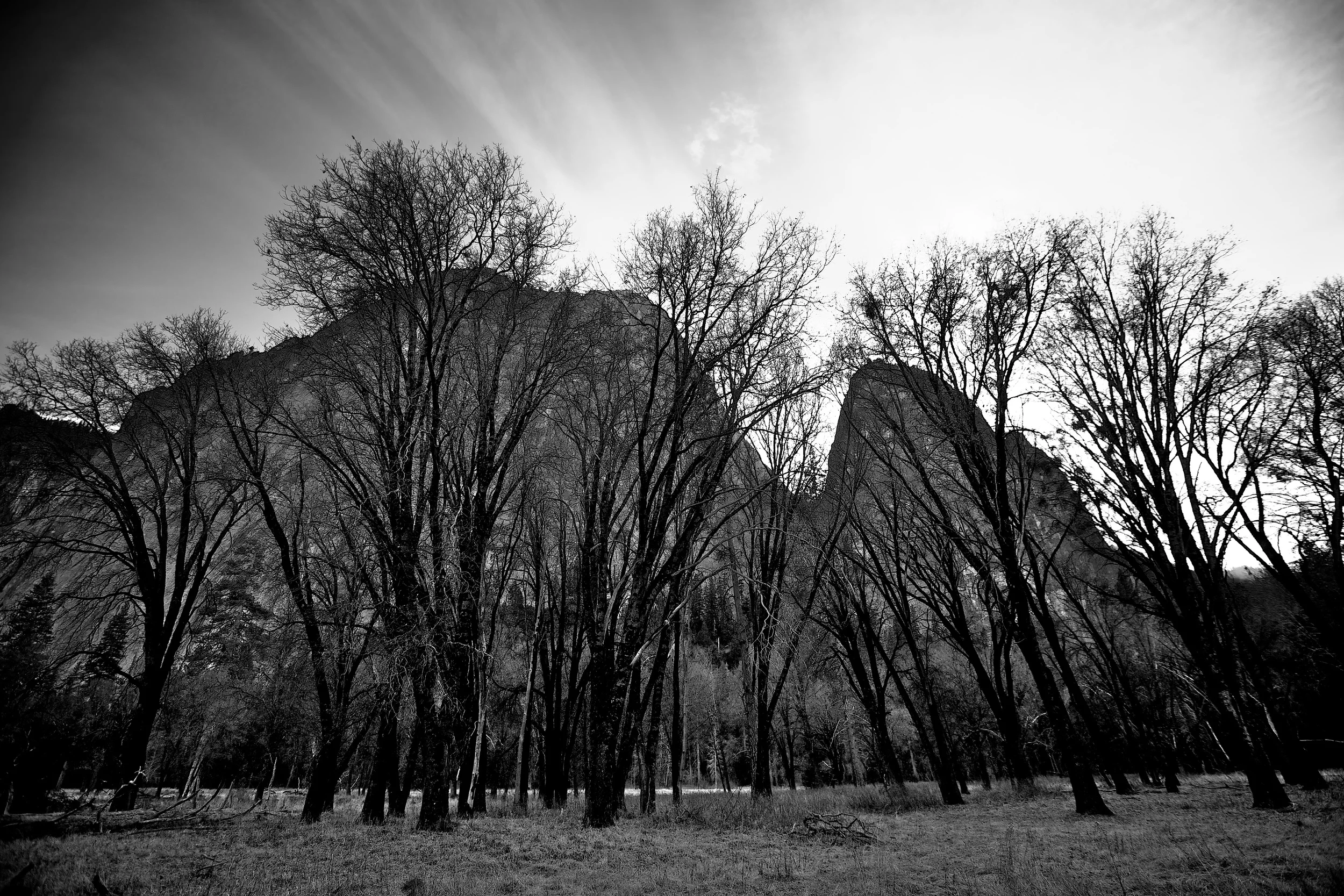 IMG_0179 - Version 2.jpg