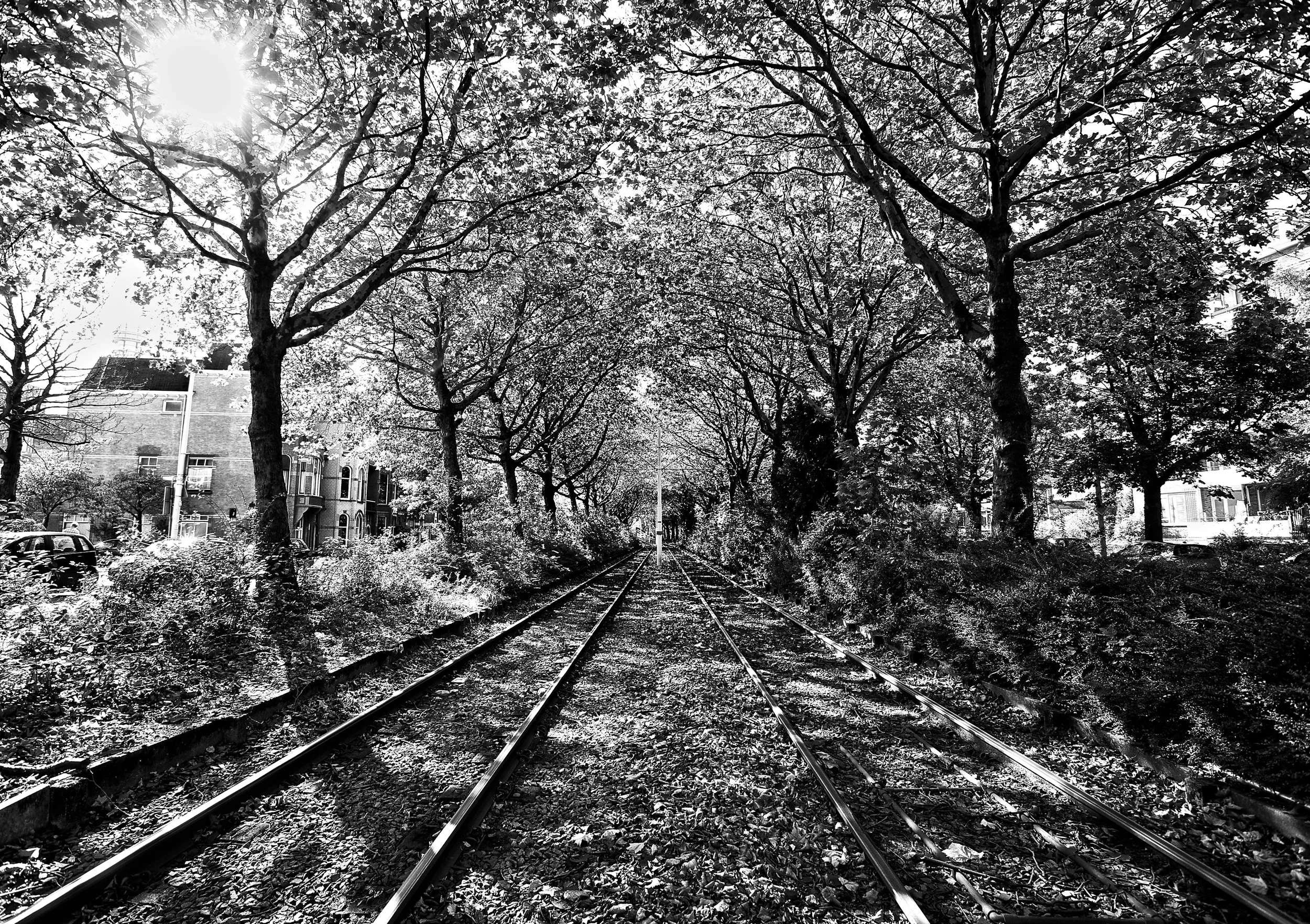 Den Haag 12 - Version 2.jpg