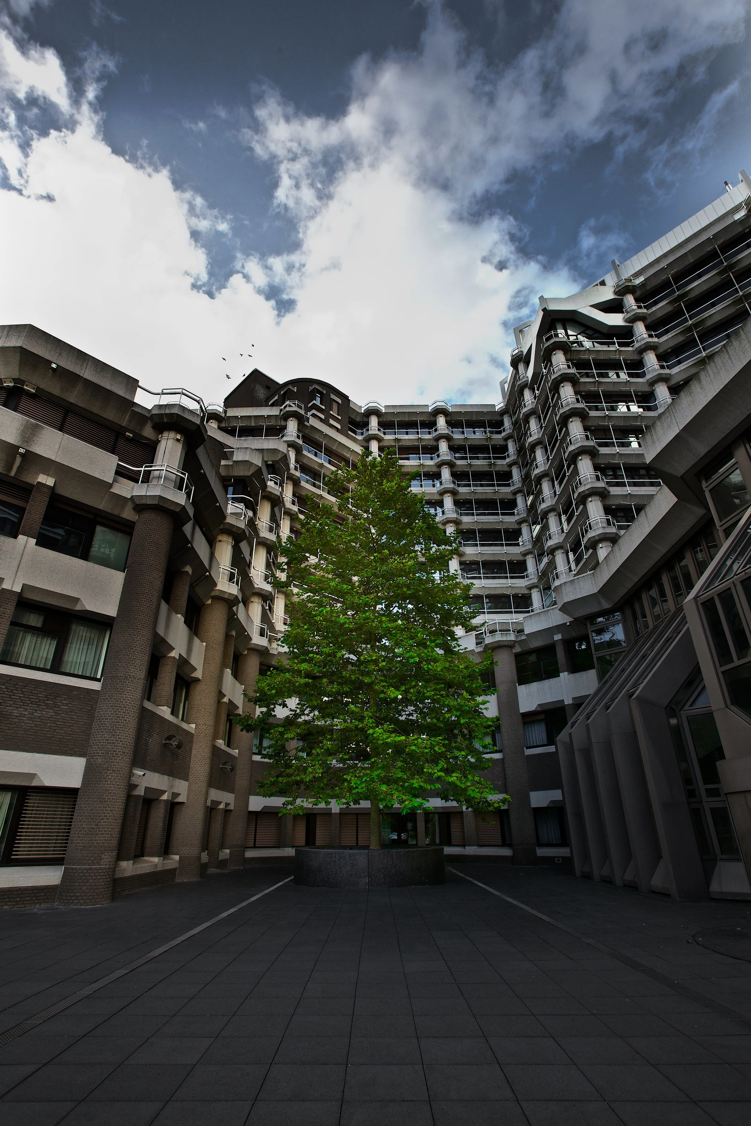Den Haag 162 - Version 2.jpg