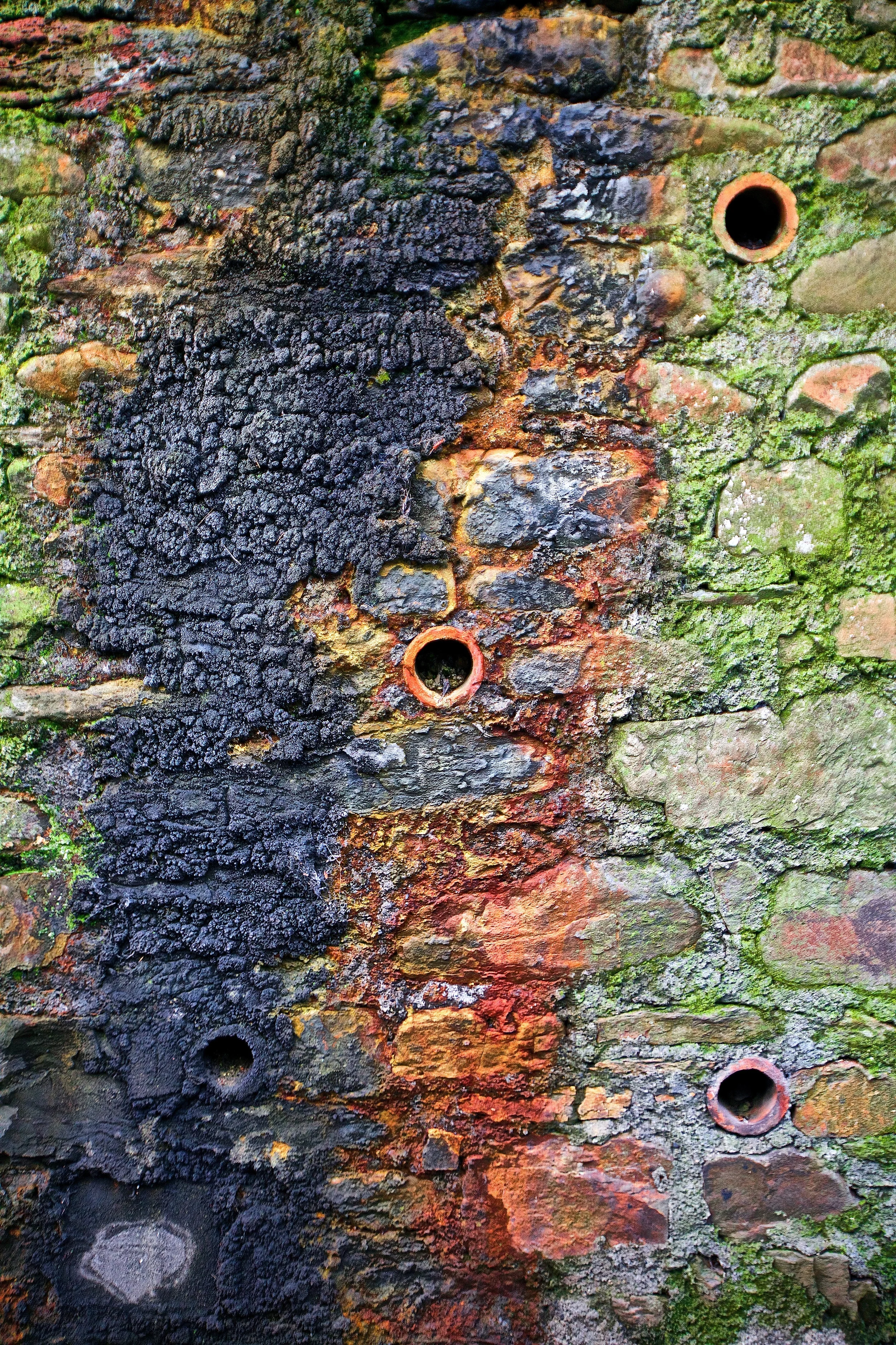 IMG_8949 - Version 2.jpg