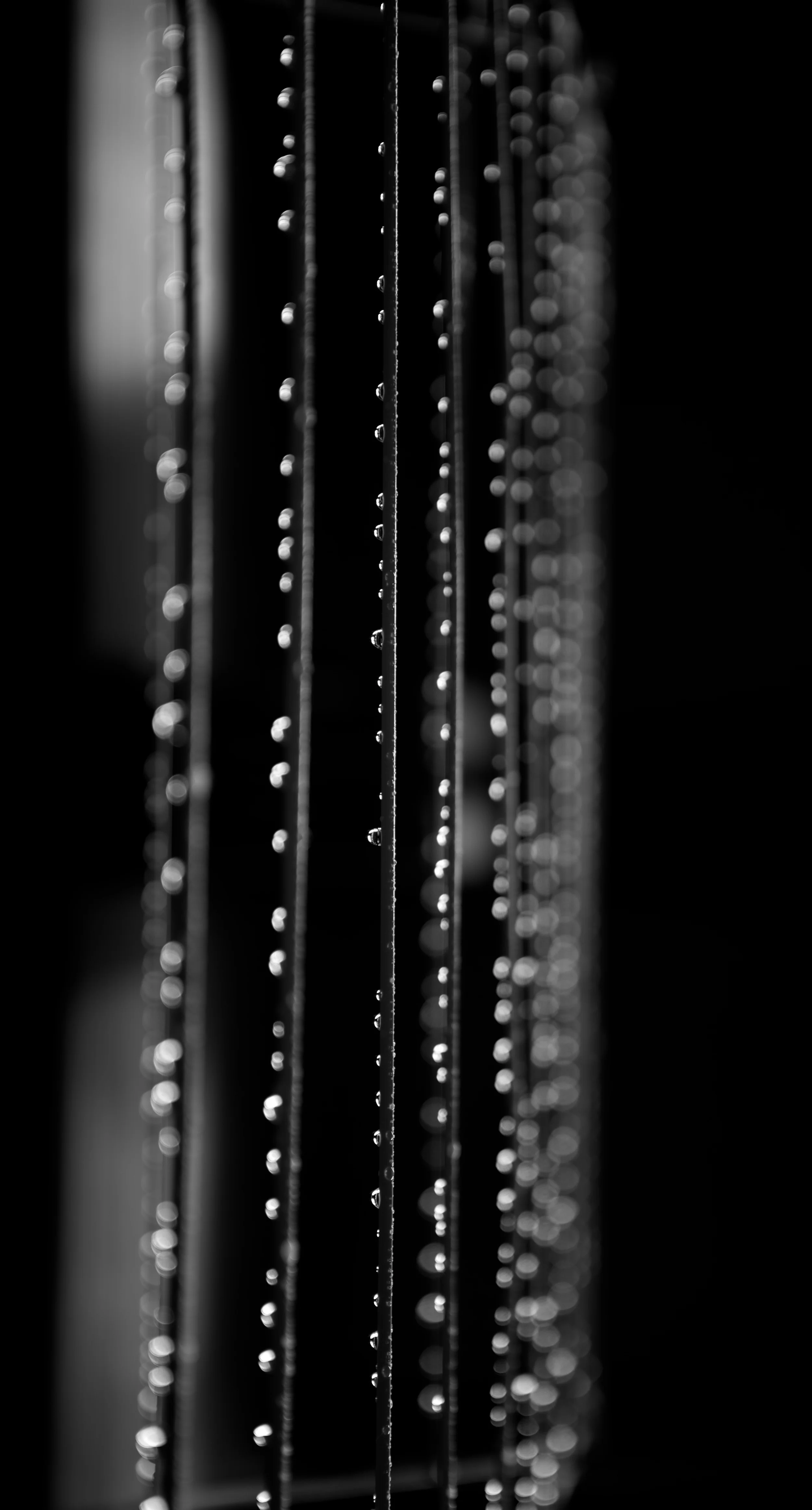 IMG_2729 - Version 2.jpg