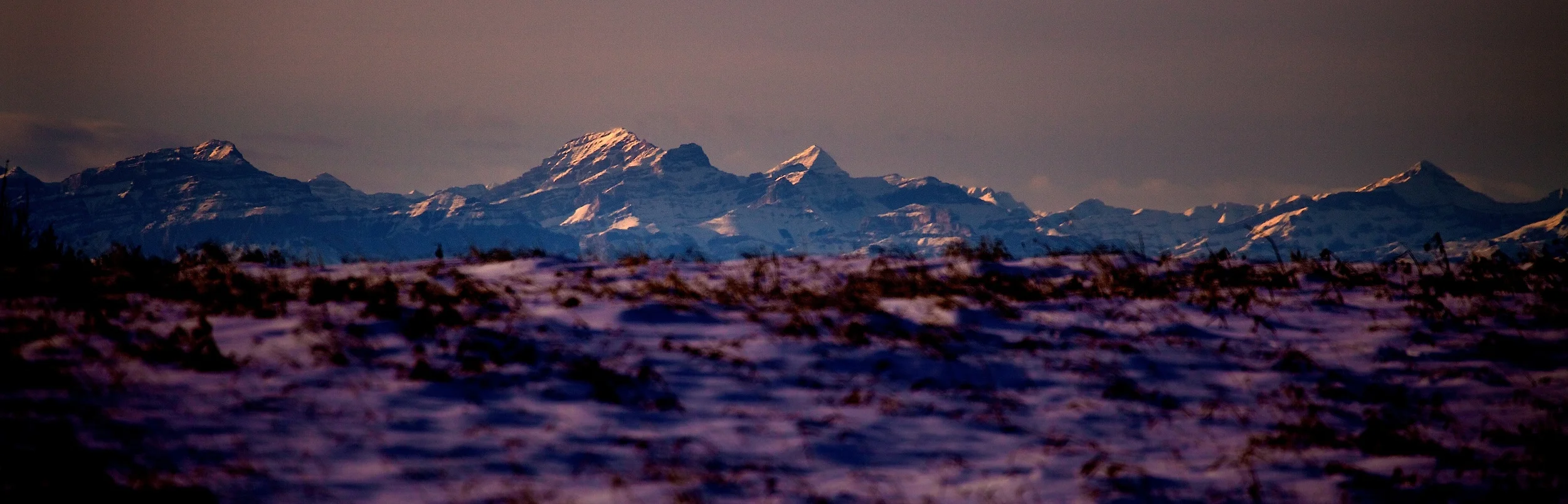Nose hill 8.jpg
