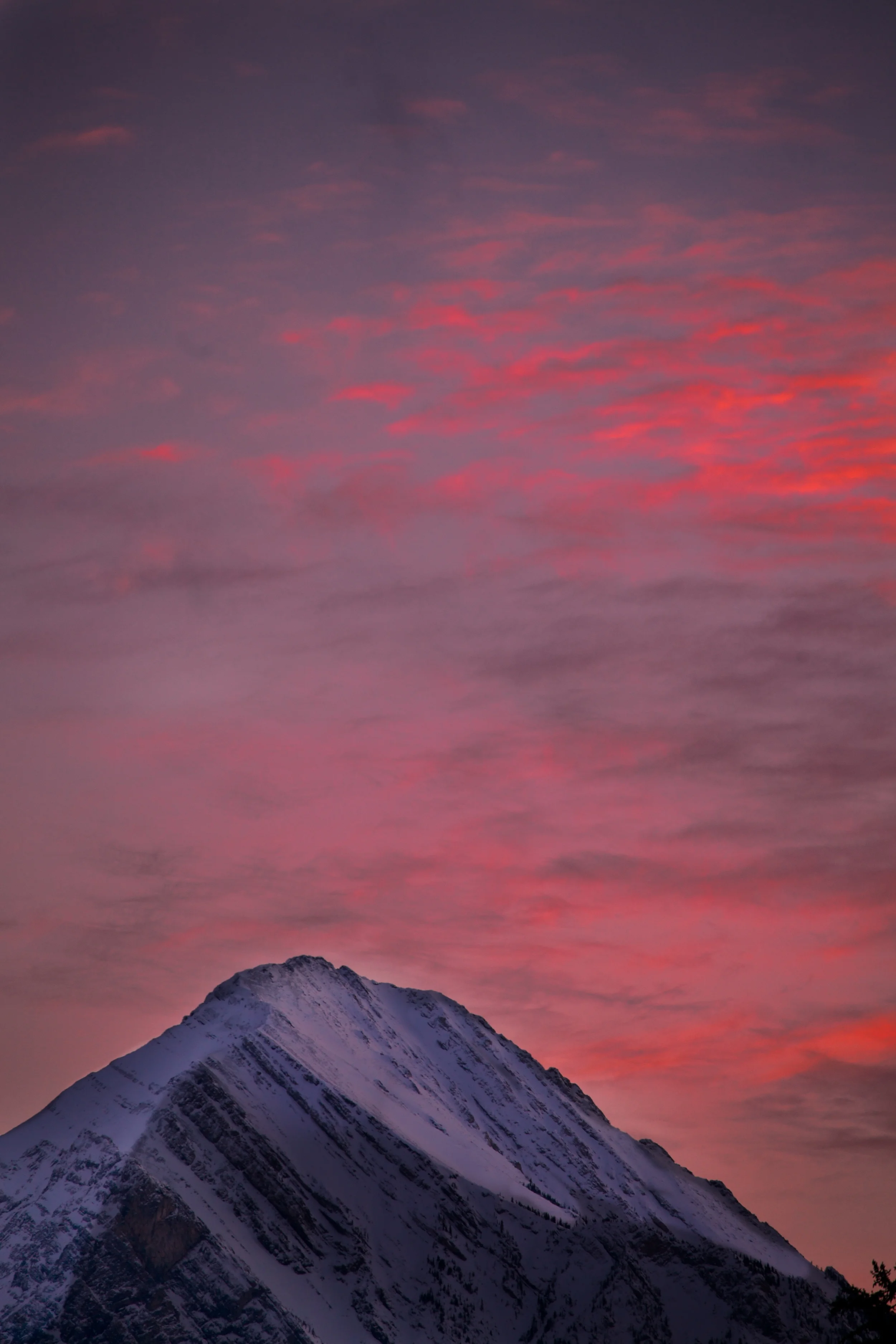 Banff 275 - Version 2 (1).jpg