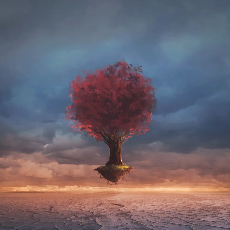 Inscapes.jpg