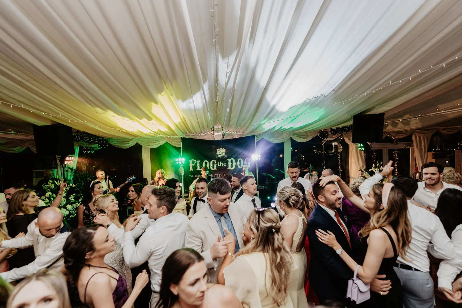 Flog the Dog live wedding band video preview