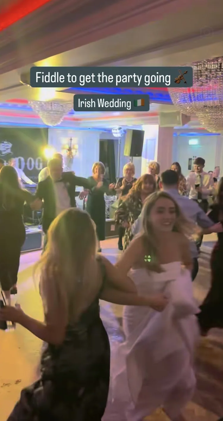 Flog the Dog live wedding band performance