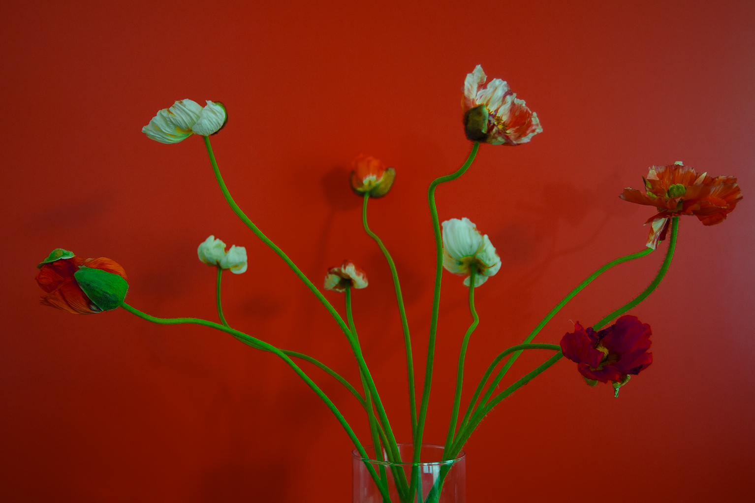 DSC_8992_2.jpg