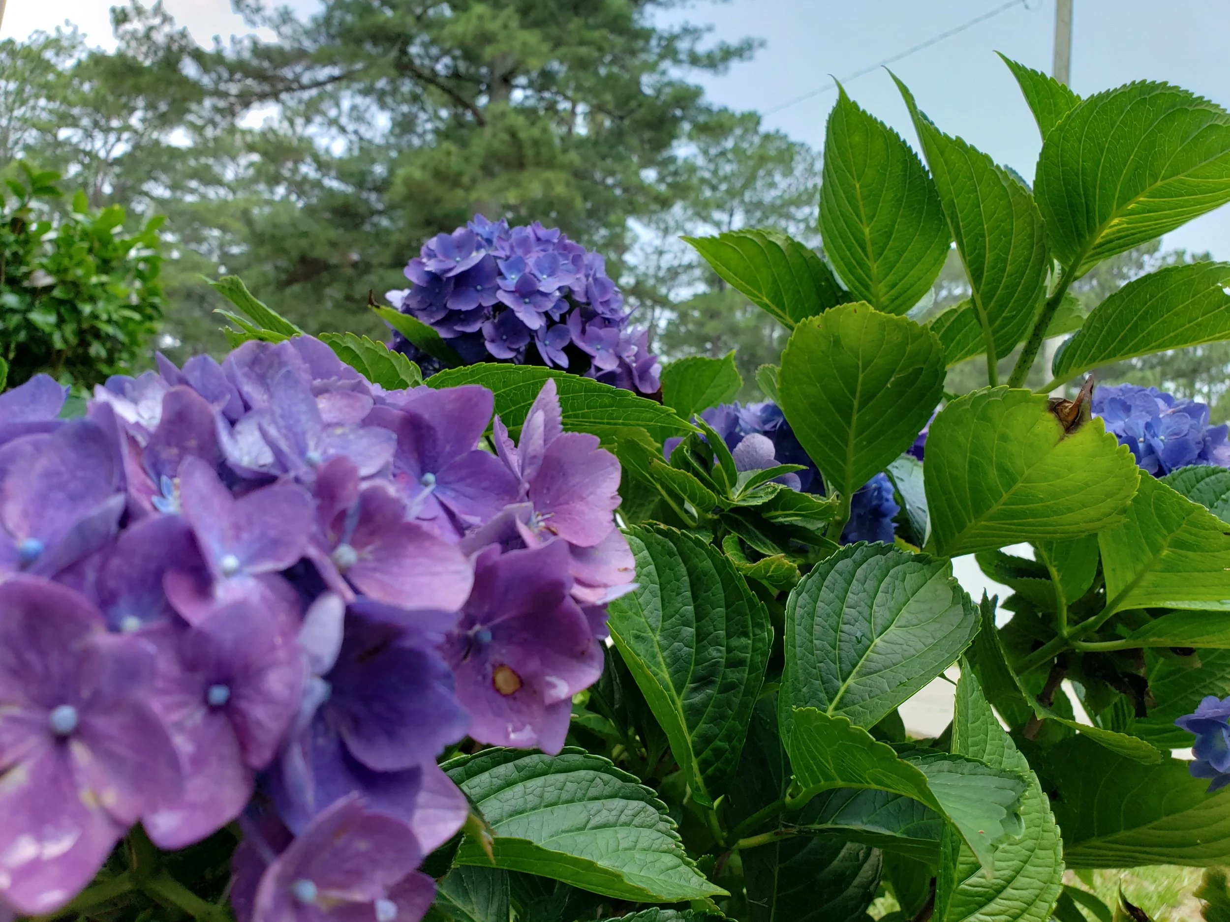 20230608_115730.jpg