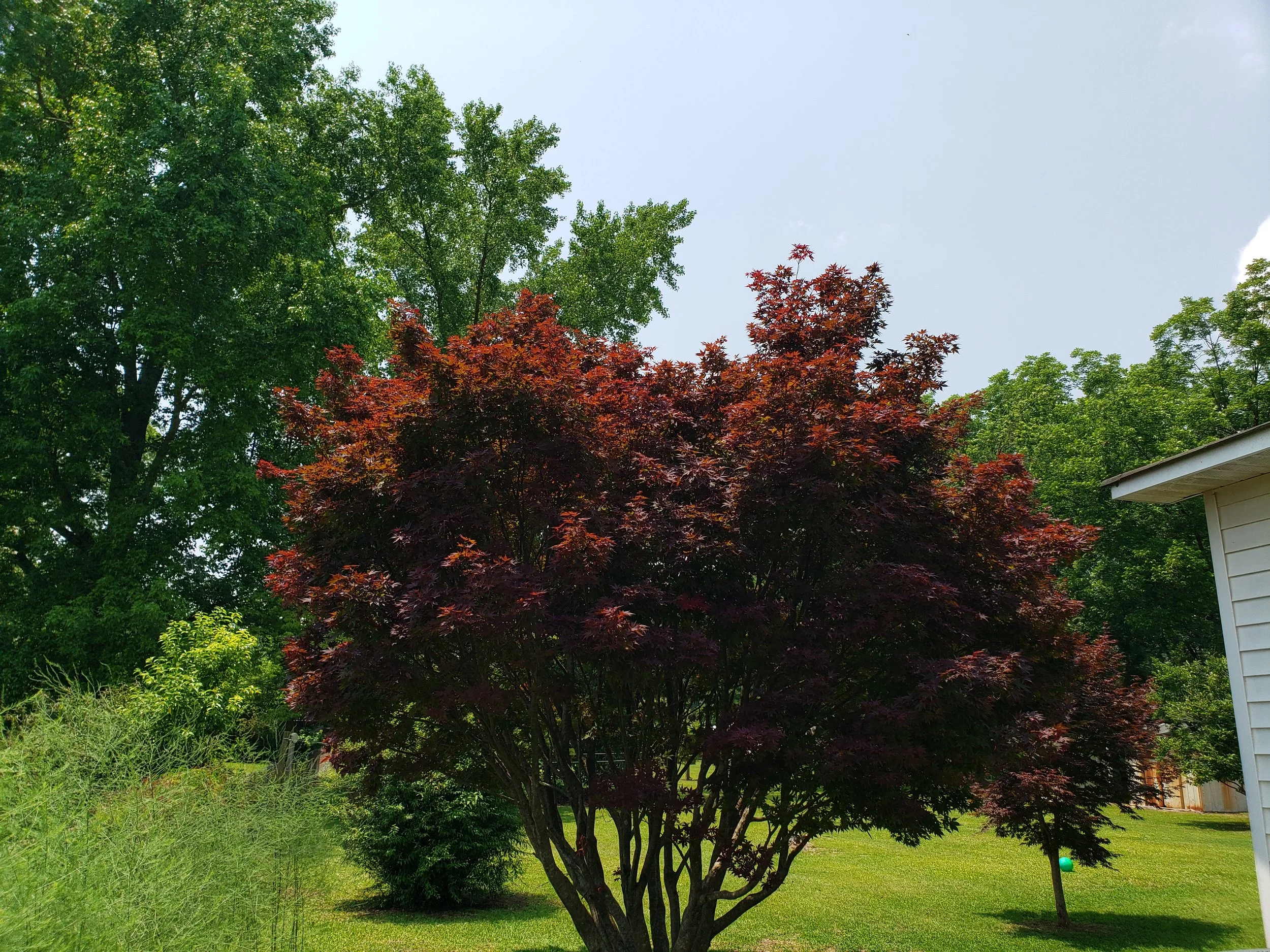 20230608_132802.jpg