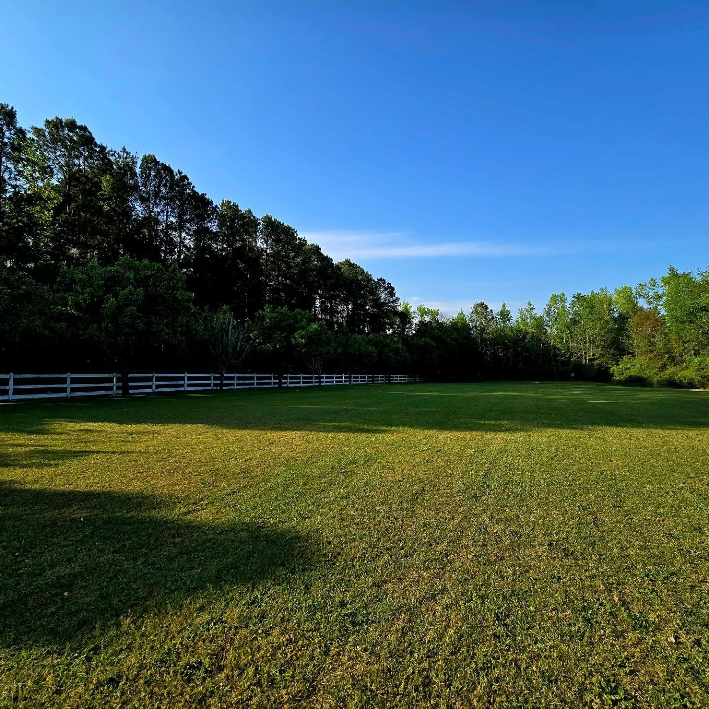 🌿 Is your lawn ready to turn heads this season? 🌞✨ Let Blooming Acres take care of it!
We offer professional lawn care services—mowing, trimming, edging, and more to keep your yard looking fresh, clean, and beautiful! 🏡
📅 Booking now for