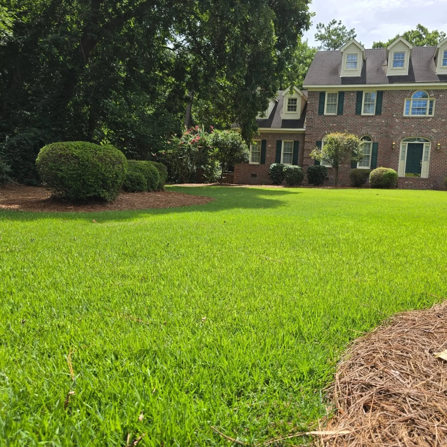 There’s nothing like seeing the finished product after a day of hard work! 🌿✨
We trimmed the shrubs, pruned the trees, gave the lawn a deep clean with edging, and topped it all off with fresh pine straw in the beds. 🧤🌳🌾
It’s amazing
