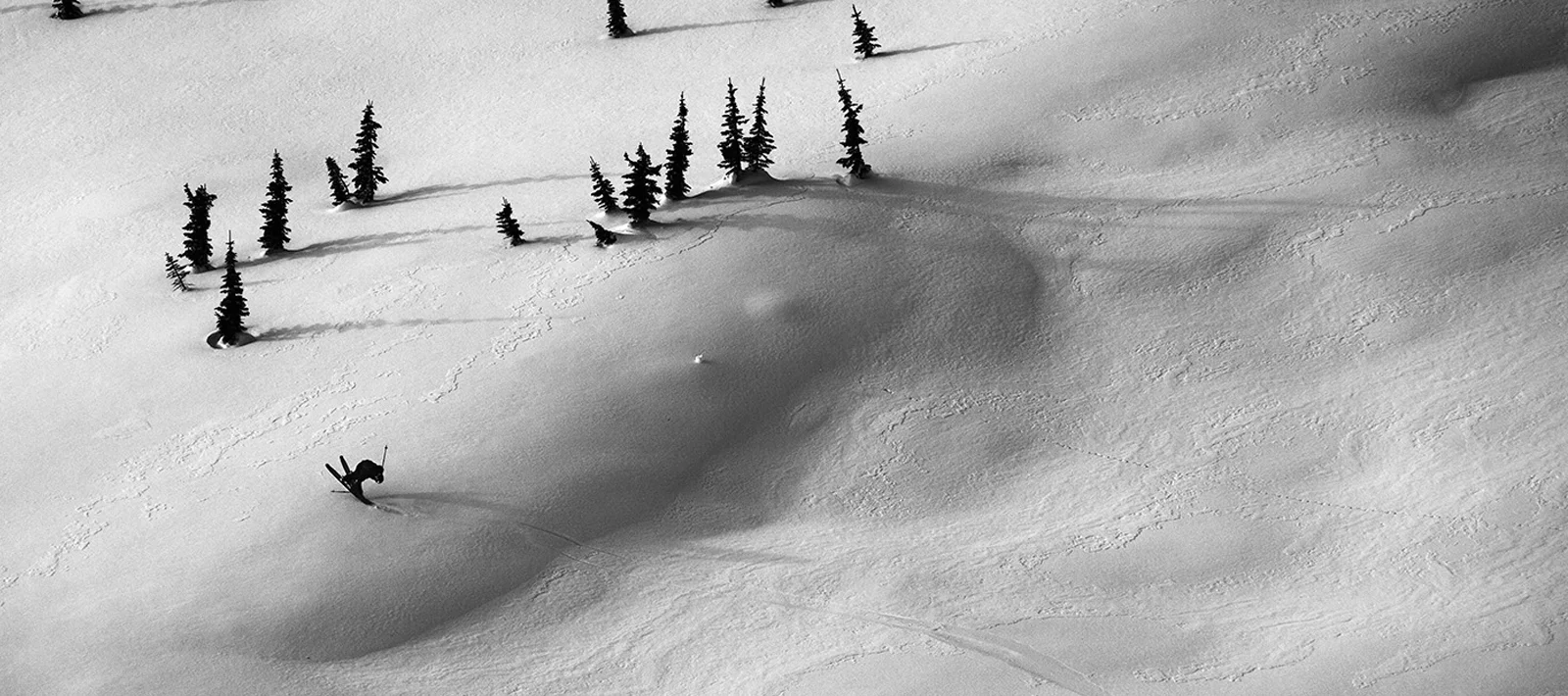 Photo by Oskar Enander