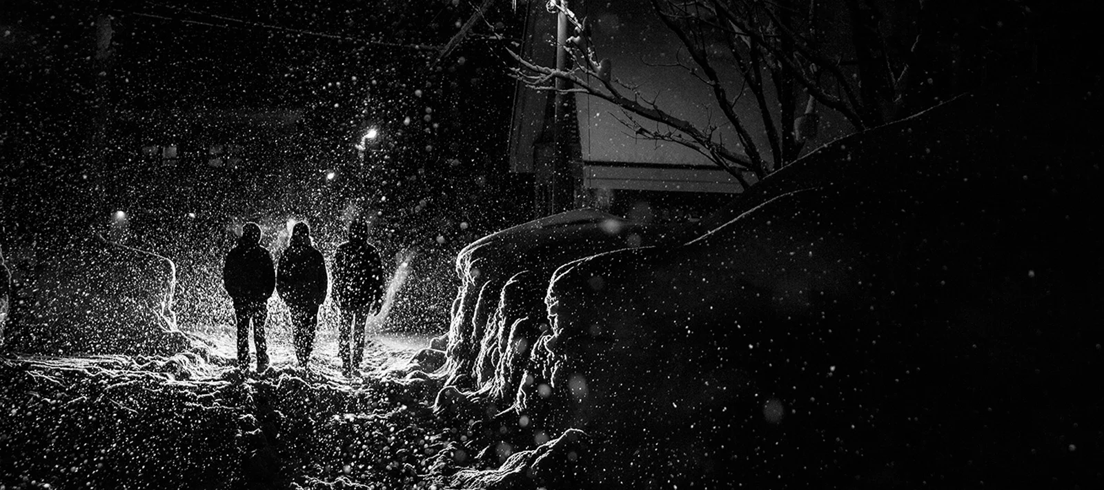 Photo by Oskar Enander