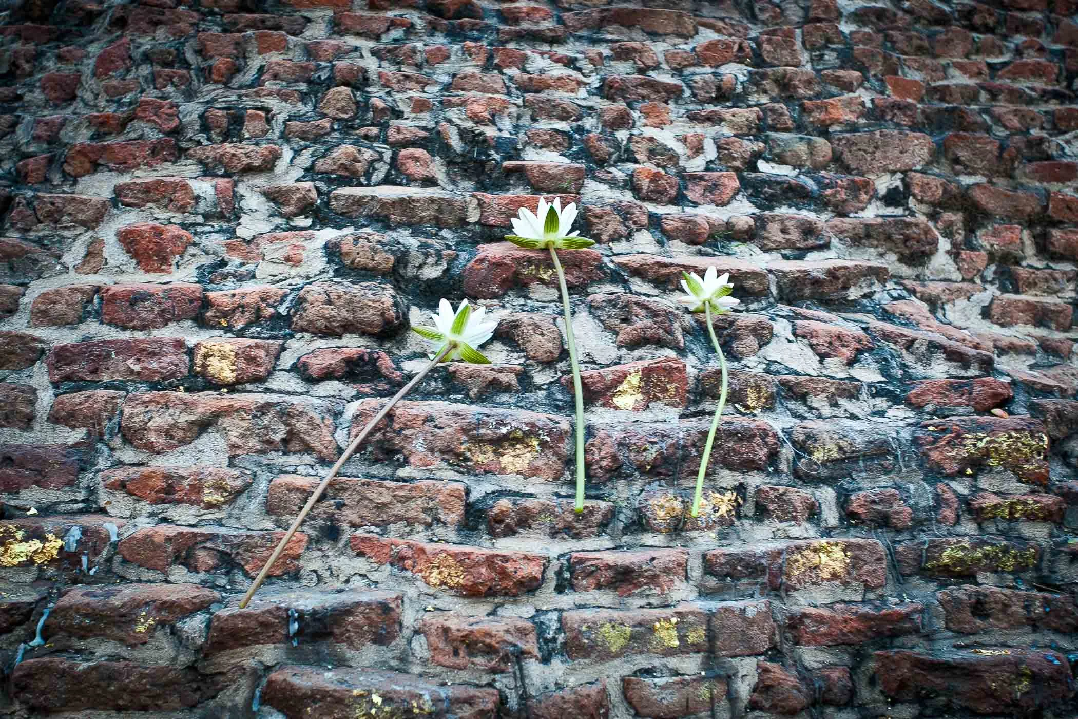 Kushinagar – místo smrti Buddhy 