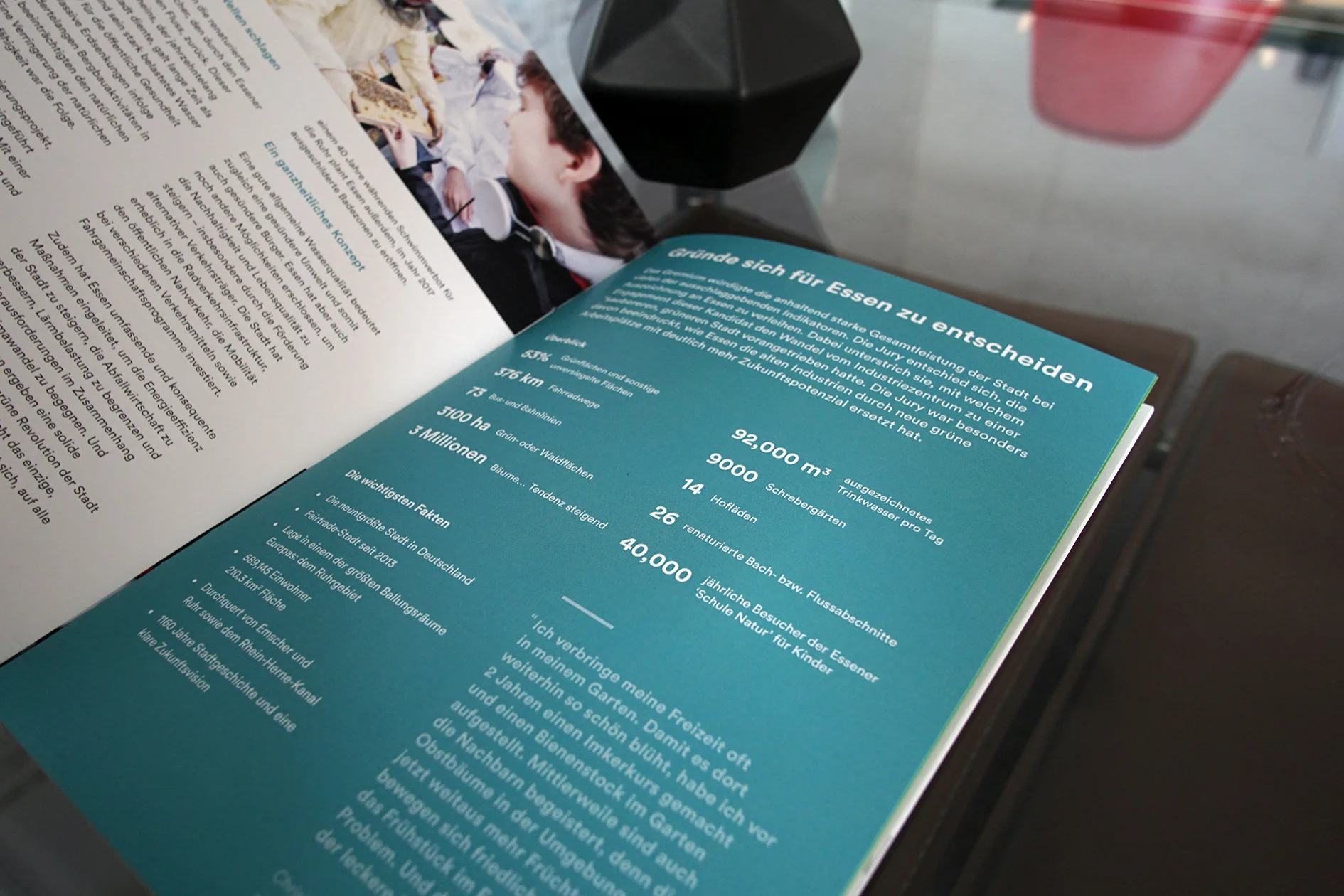 EGCA_brochure_03.jpg