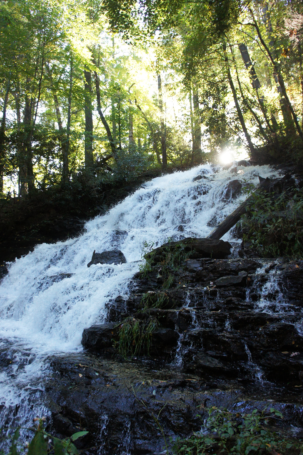 DSC09786.jpg
