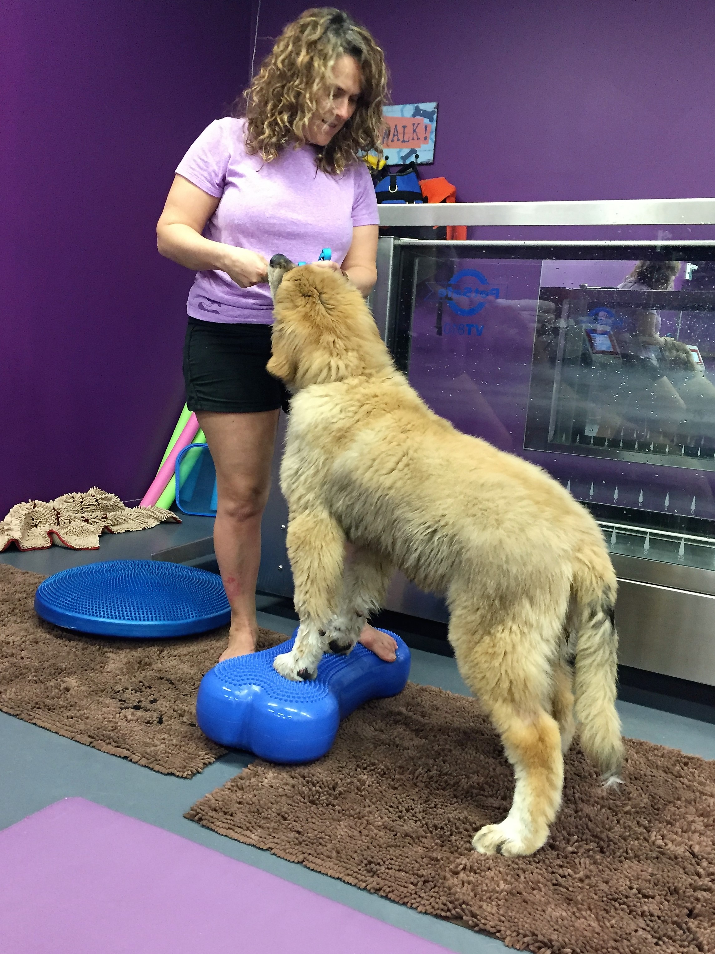 Rosco is using his abdominal muscles and stabilizing muscles to balance his body.