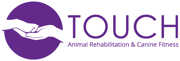 touch-animal-logo.png