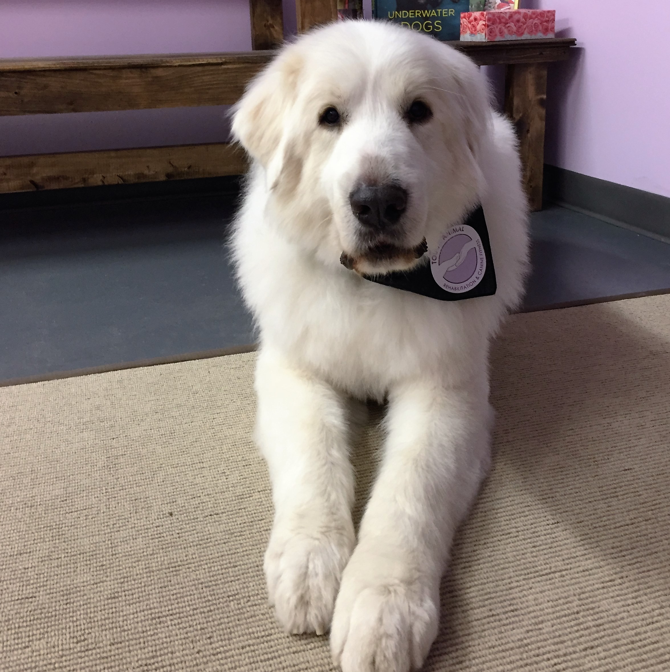 Maddy enjoyed her day with her stylist.