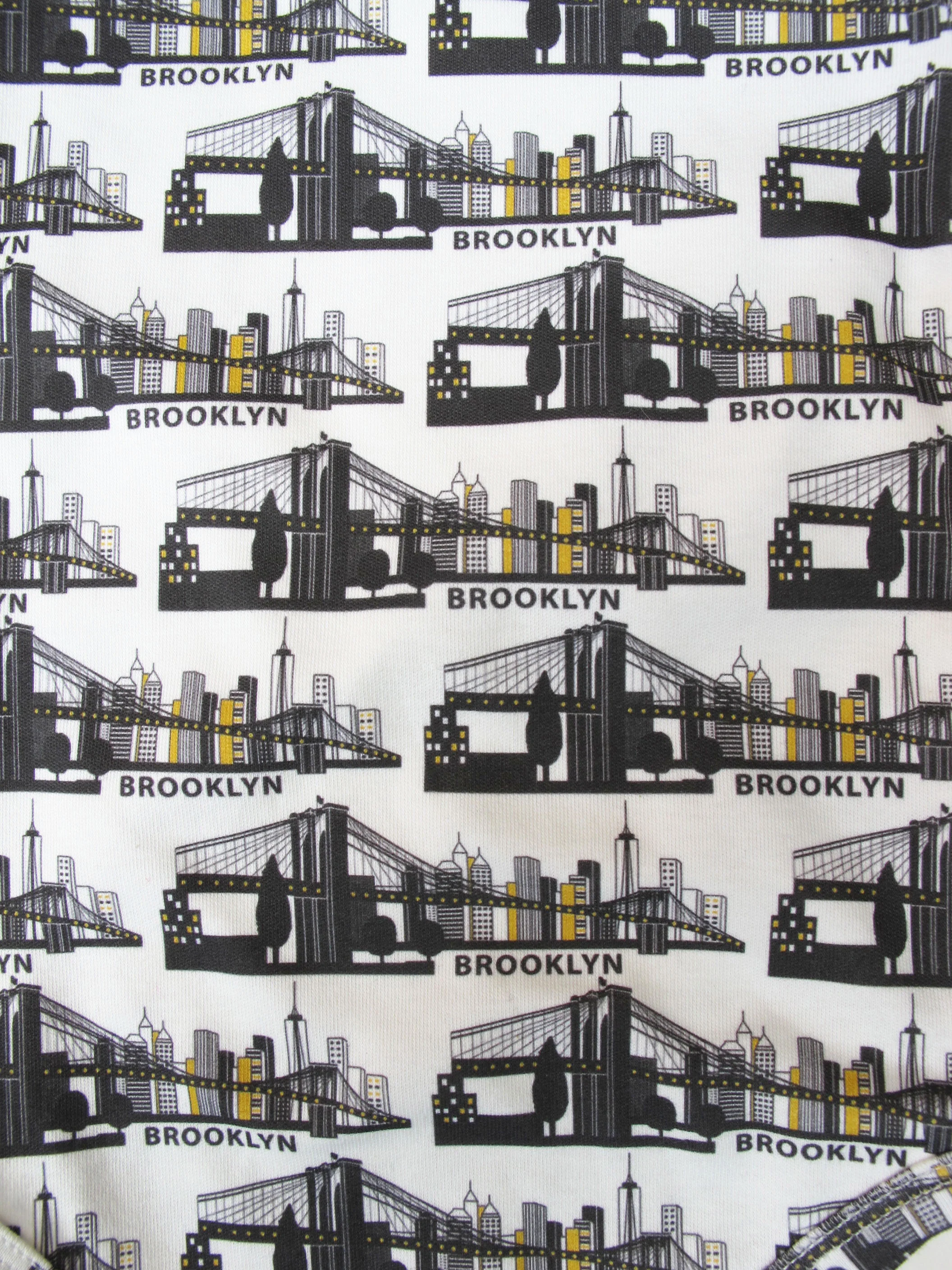 ONESIE BROOKLYN BRIDGE 4.JPG