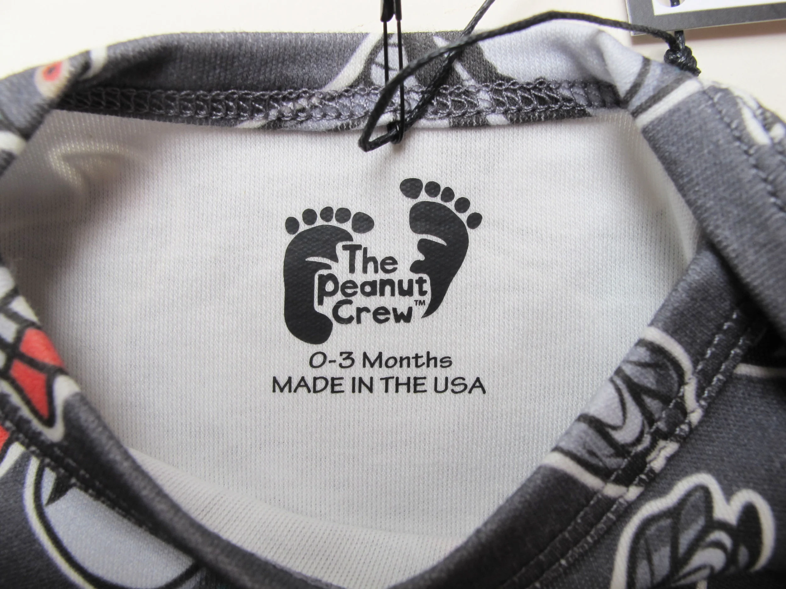 ONESIE NYC PIGEON 2.JPG