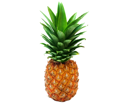 Dole Whip Pineapple