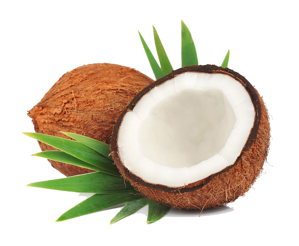 Coconut