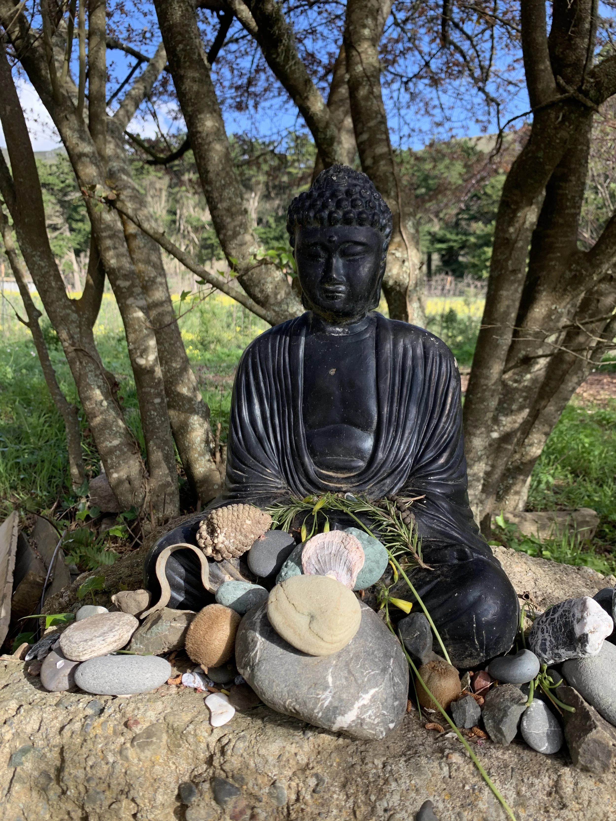 Green Gulch Daylong Retreat 