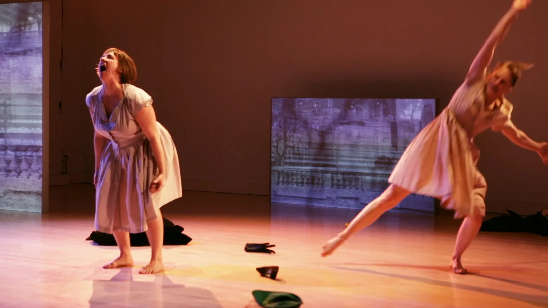 Liz Burritt and Kristina Fluty in Bird Lady (2014)