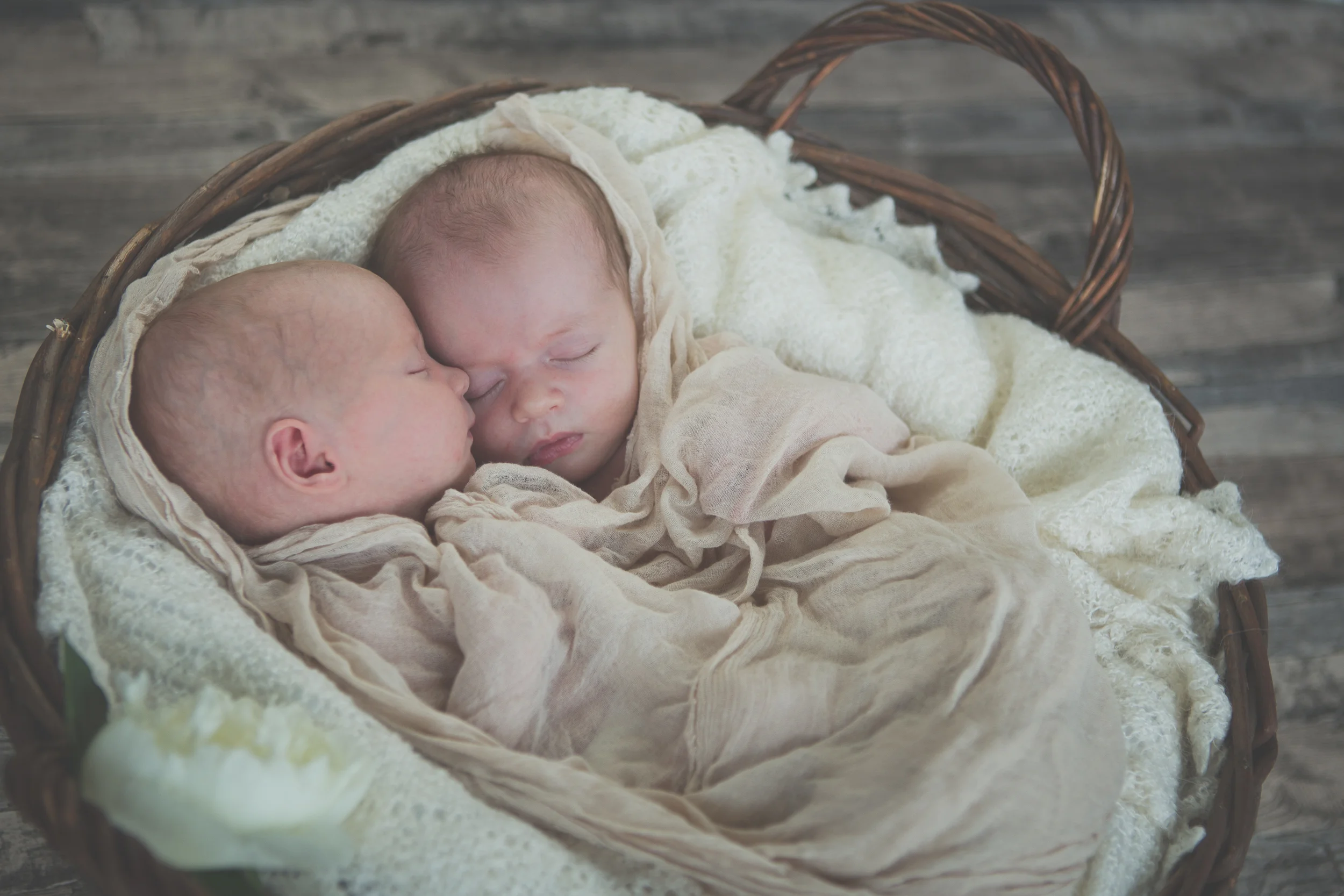 PREGNANT&NEWBORN-83.jpg