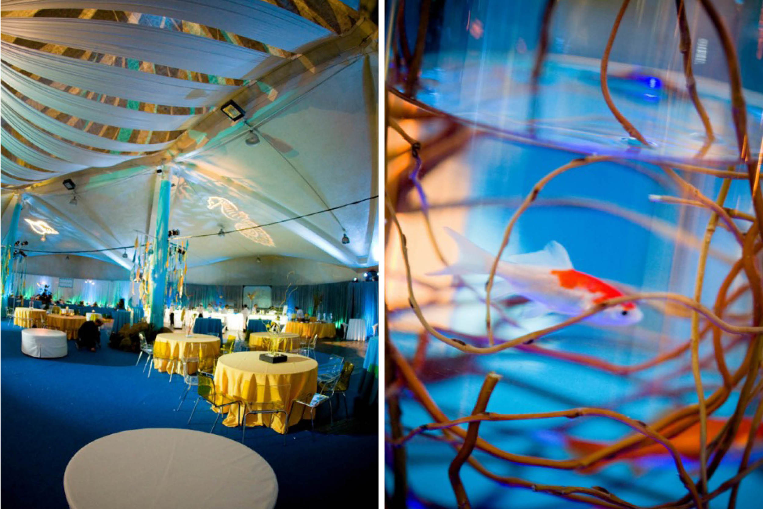 abd-meetings-events-alegria-by-design-corporate-santa-barbara-under-the-sea (4).jpg