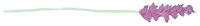 dandelion-button-small.png