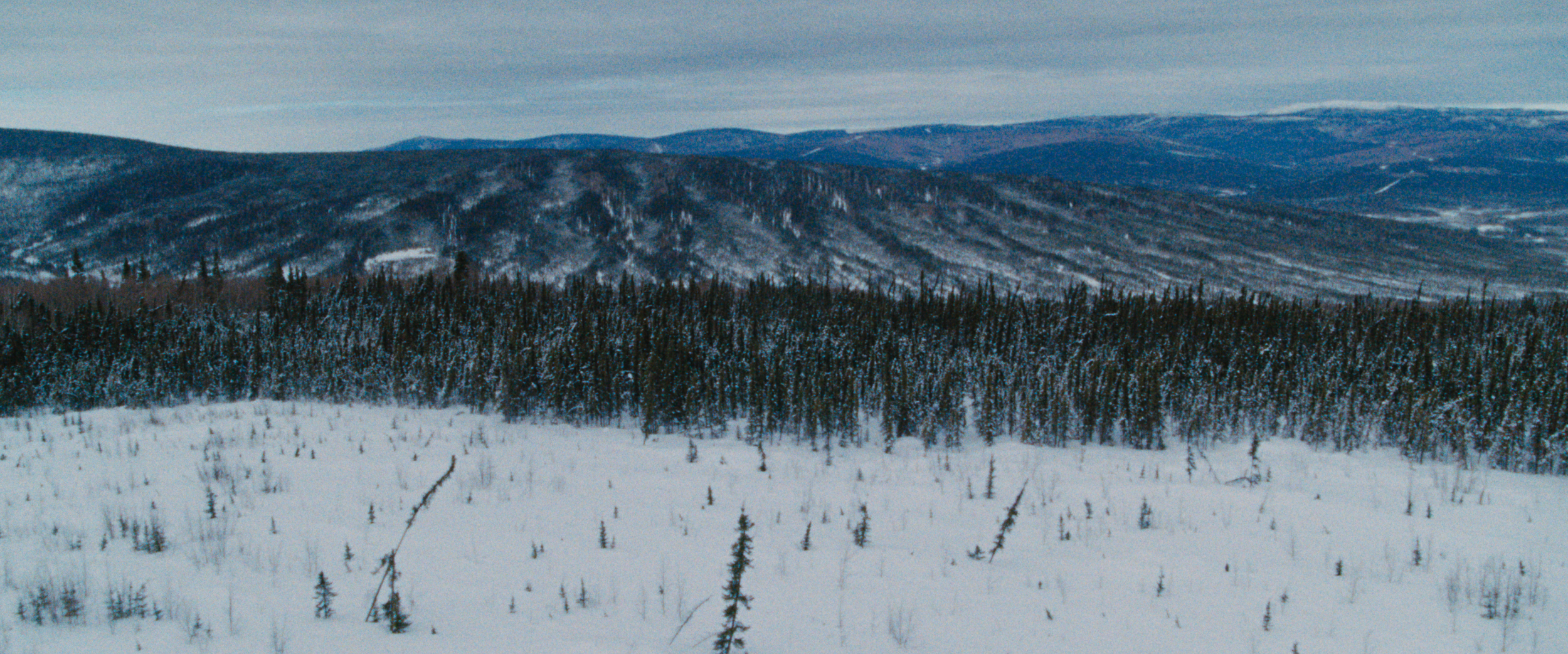 Screenshot 2025-10-18 at 3.48.27 PM.png