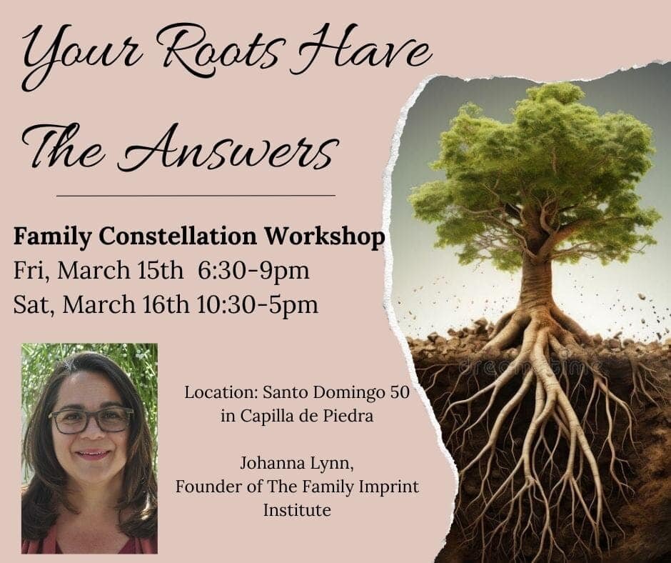 Hey everyone, come join us for this amazingly powerful workshop. Do you want to be set free from what is holding you back? Blocking you? Release suffering? Johanna Lynn is a master practitioner!! Family Constellations is one of the most powerful tran