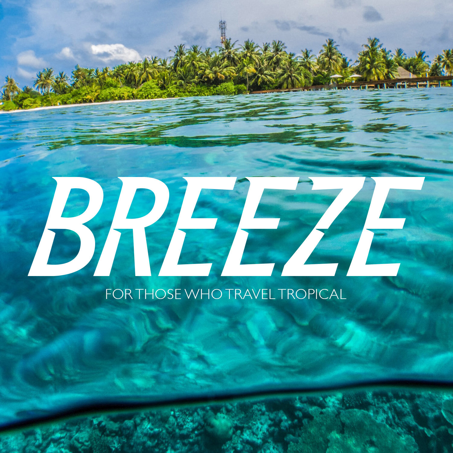 breeze_logotype_single.jpg