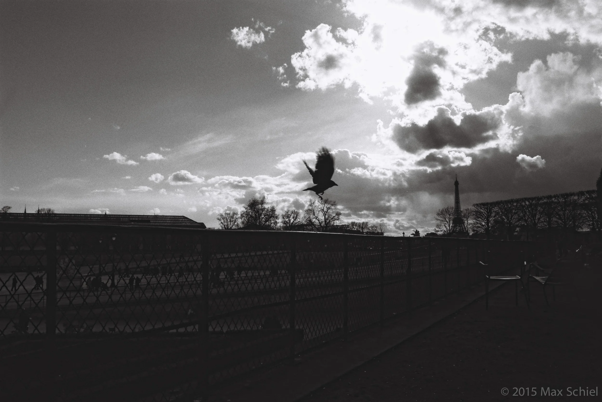 ANALOG-14.jpg