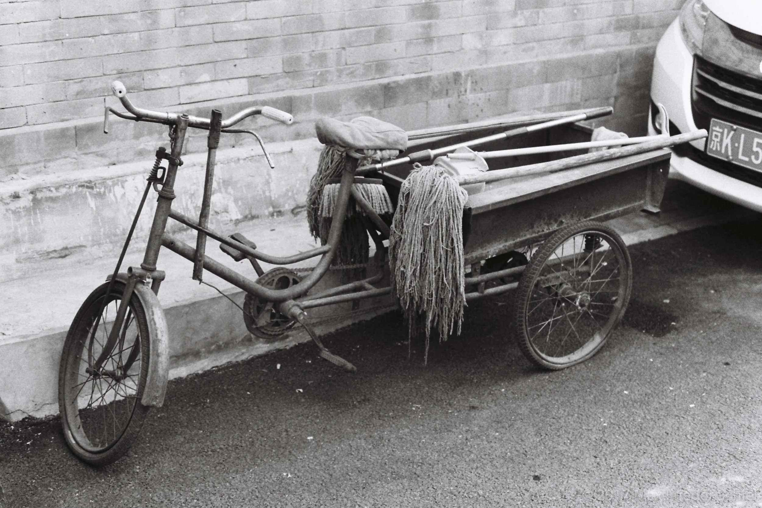 F1020023.jpg