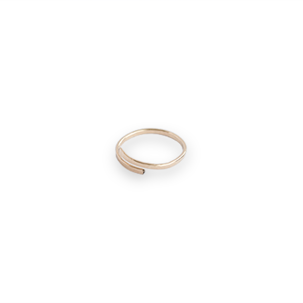 ring-009.png