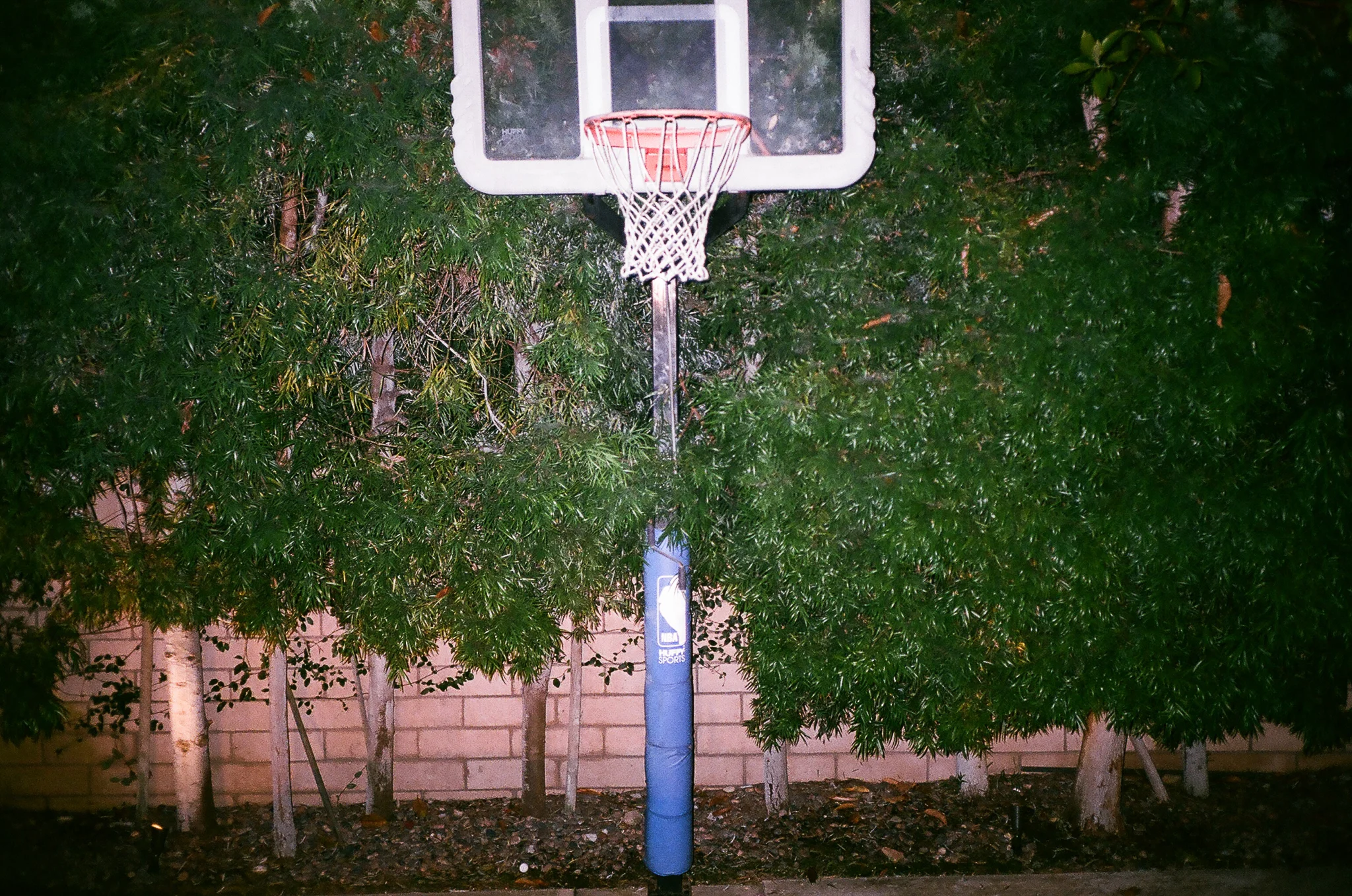 02700010.jpg