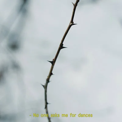 No one asks me for dances. 