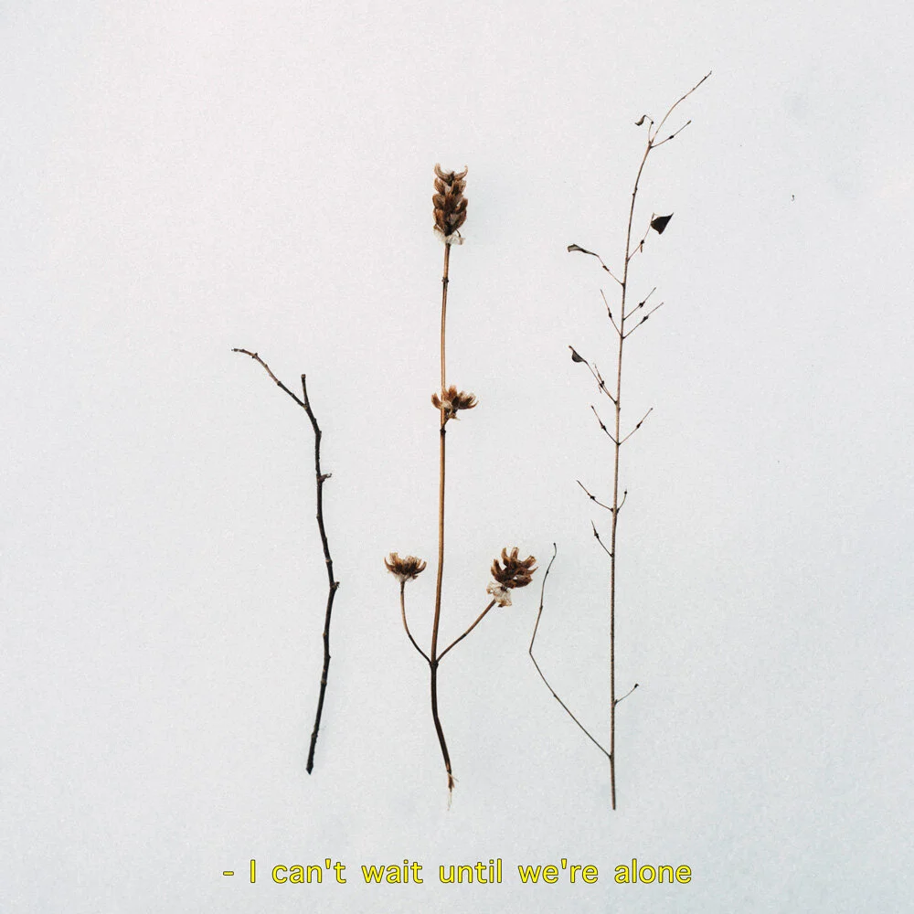 till-were-alone.jpg