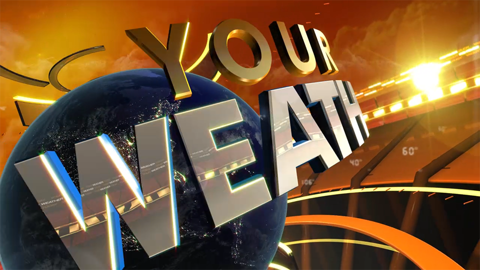 YWT DEMO_3.png