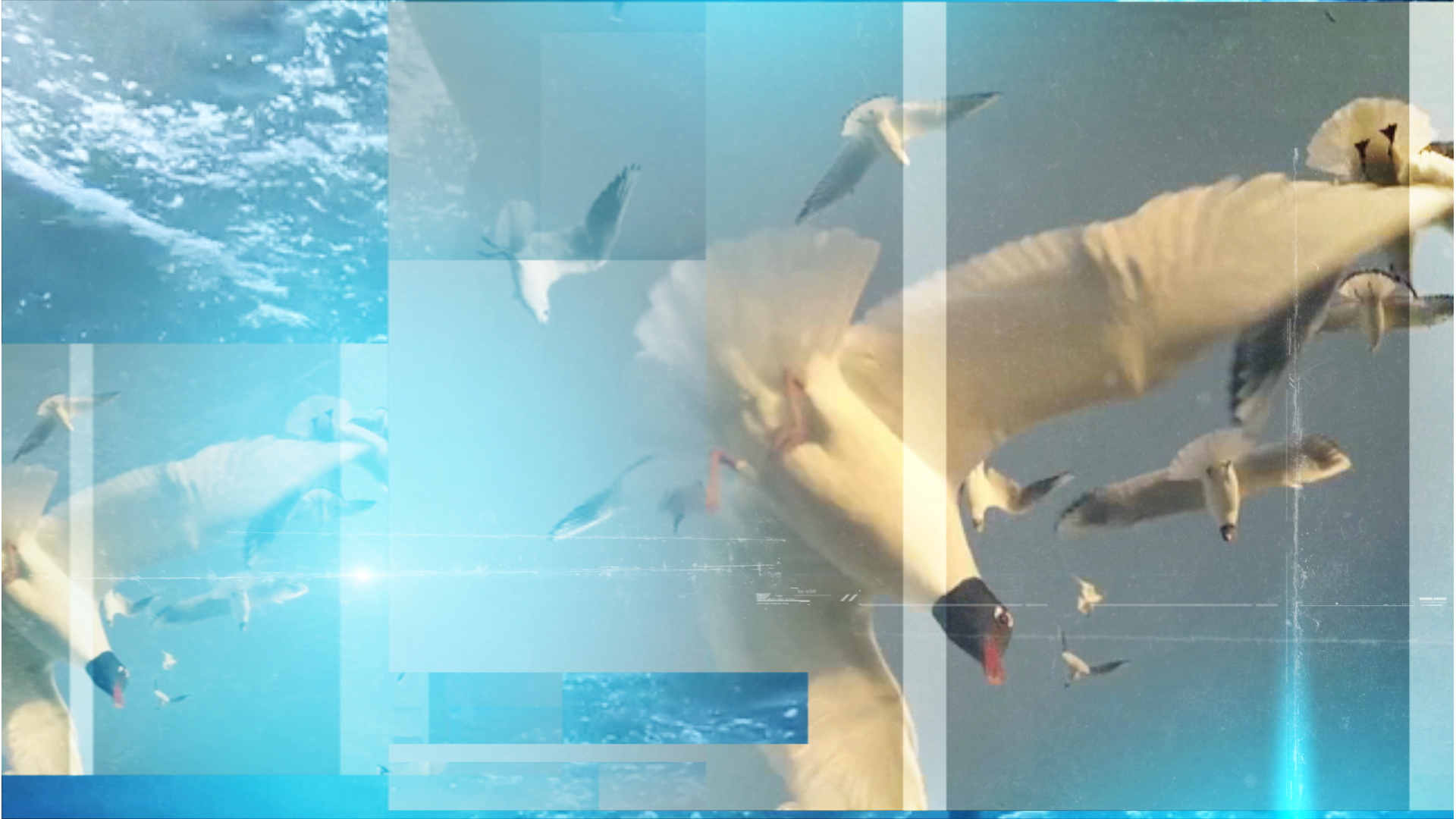 ISA_GFX_Open_0004_Layer-7.png