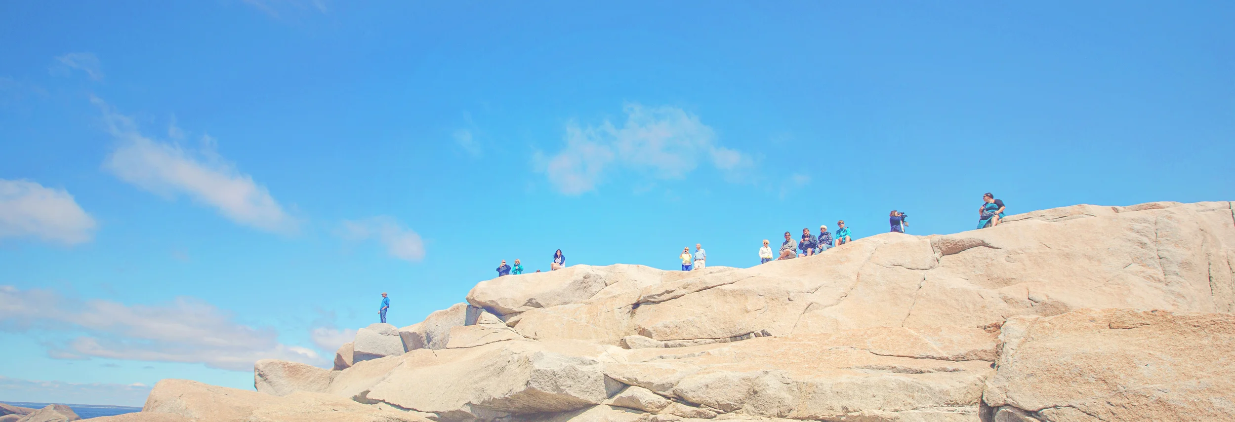 LION KING ROCK