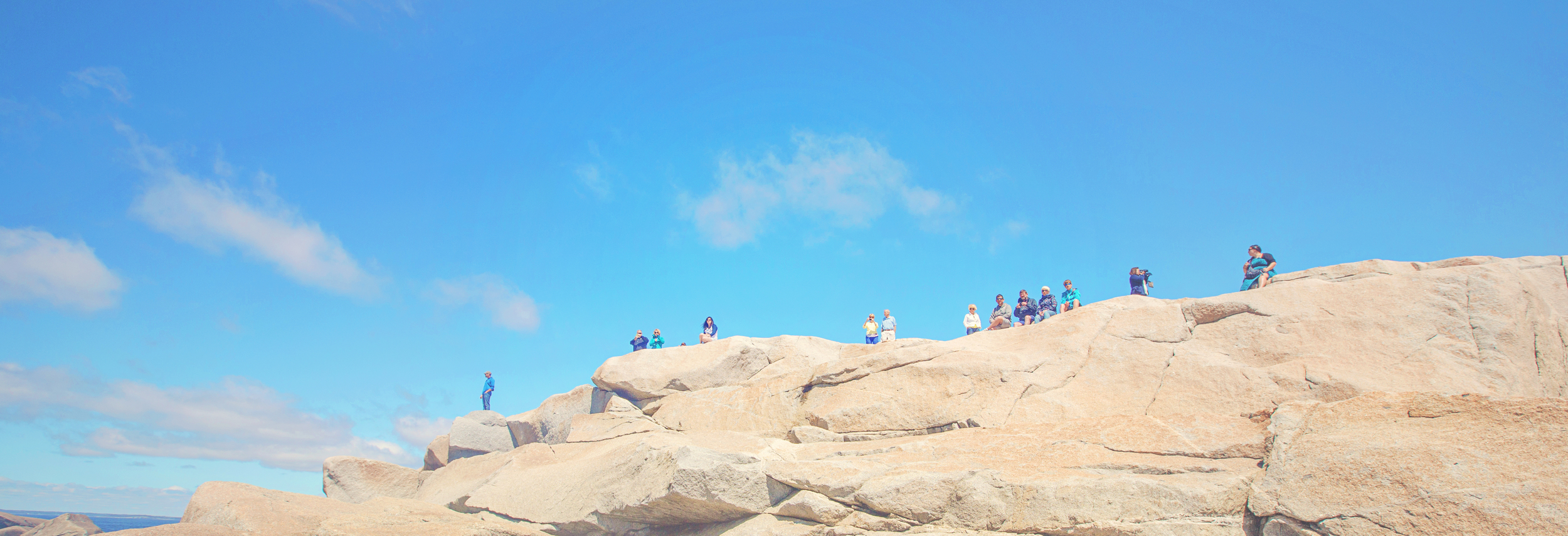 LION KING ROCK