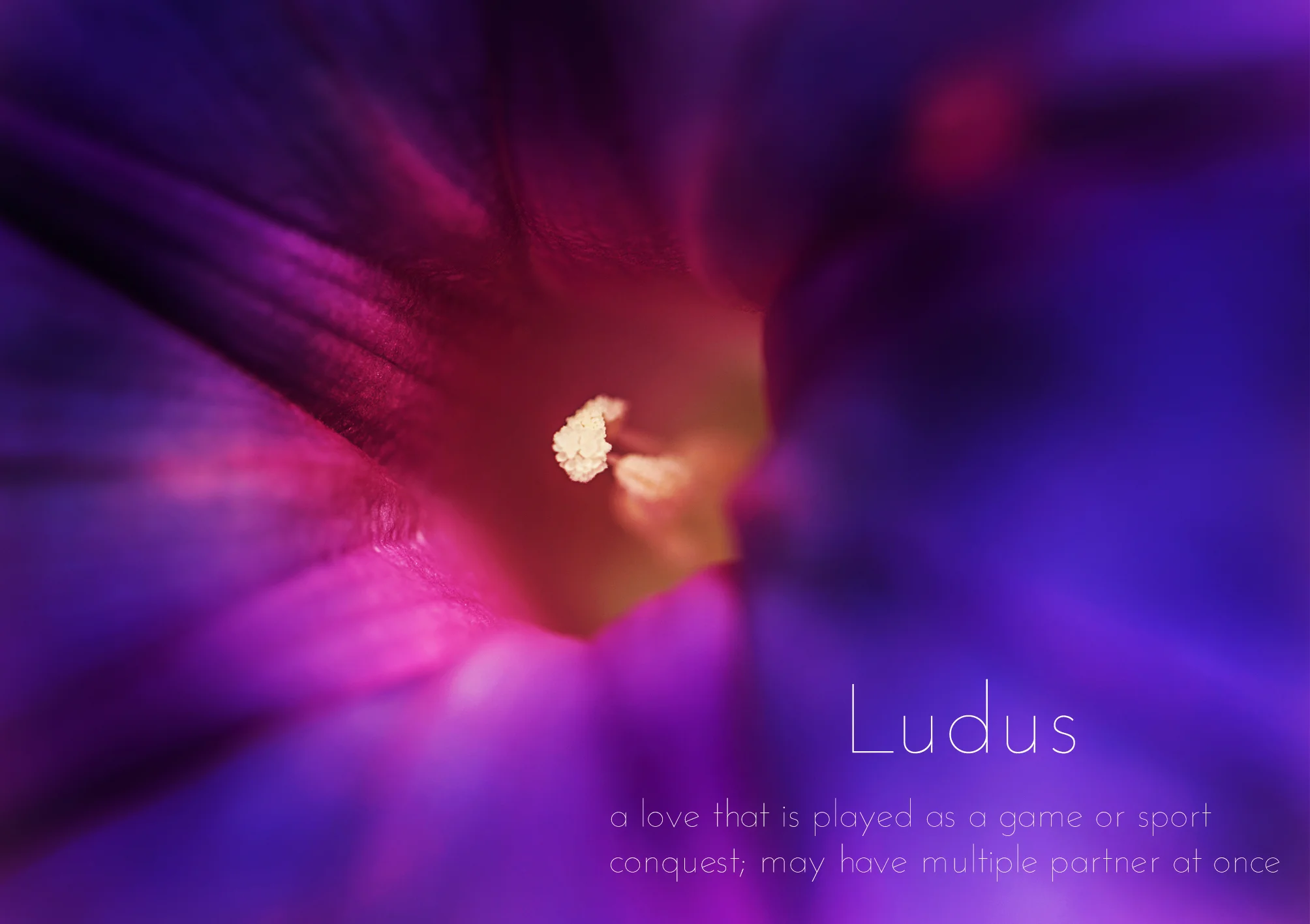 LUDUS