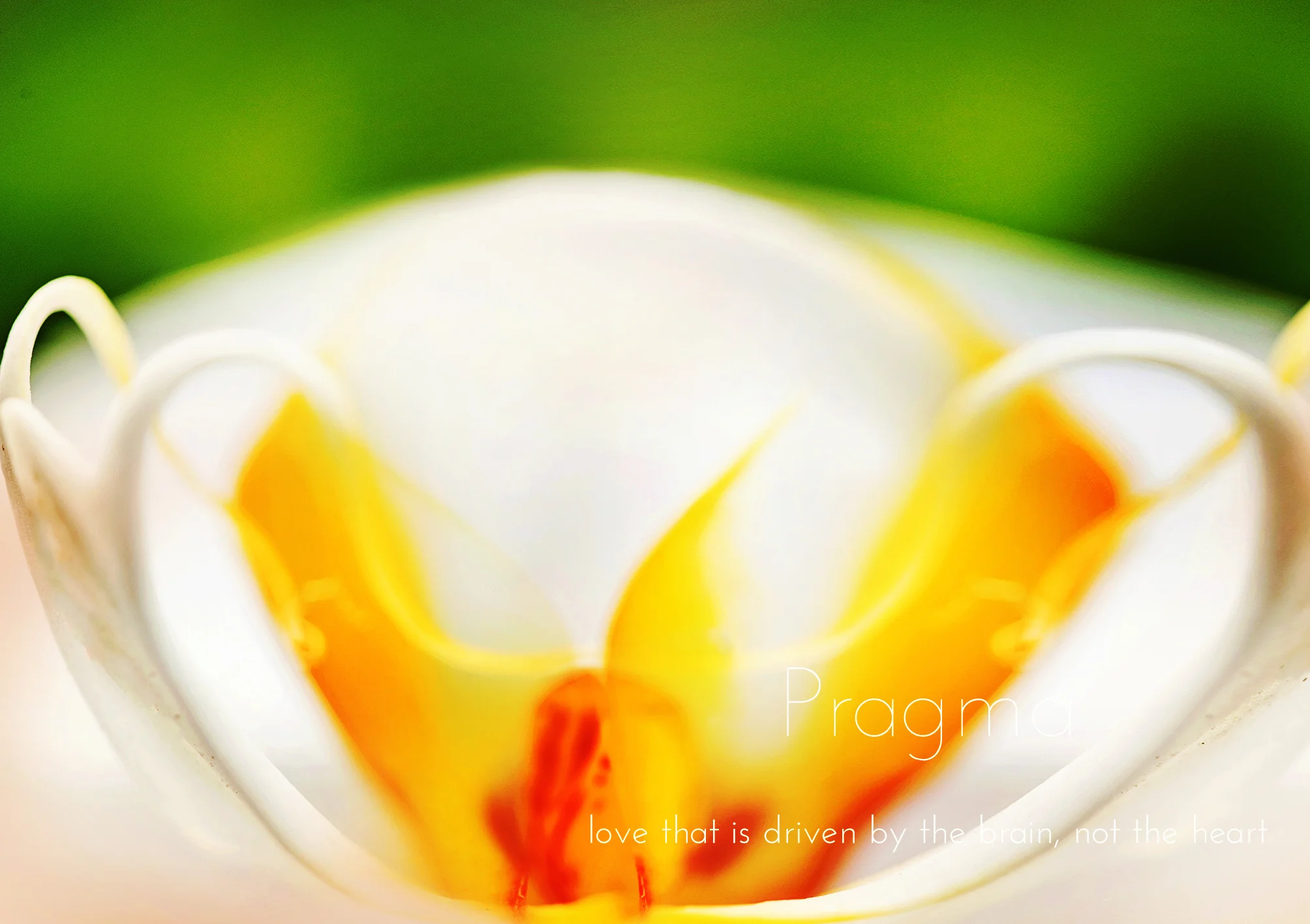 PRAGMA