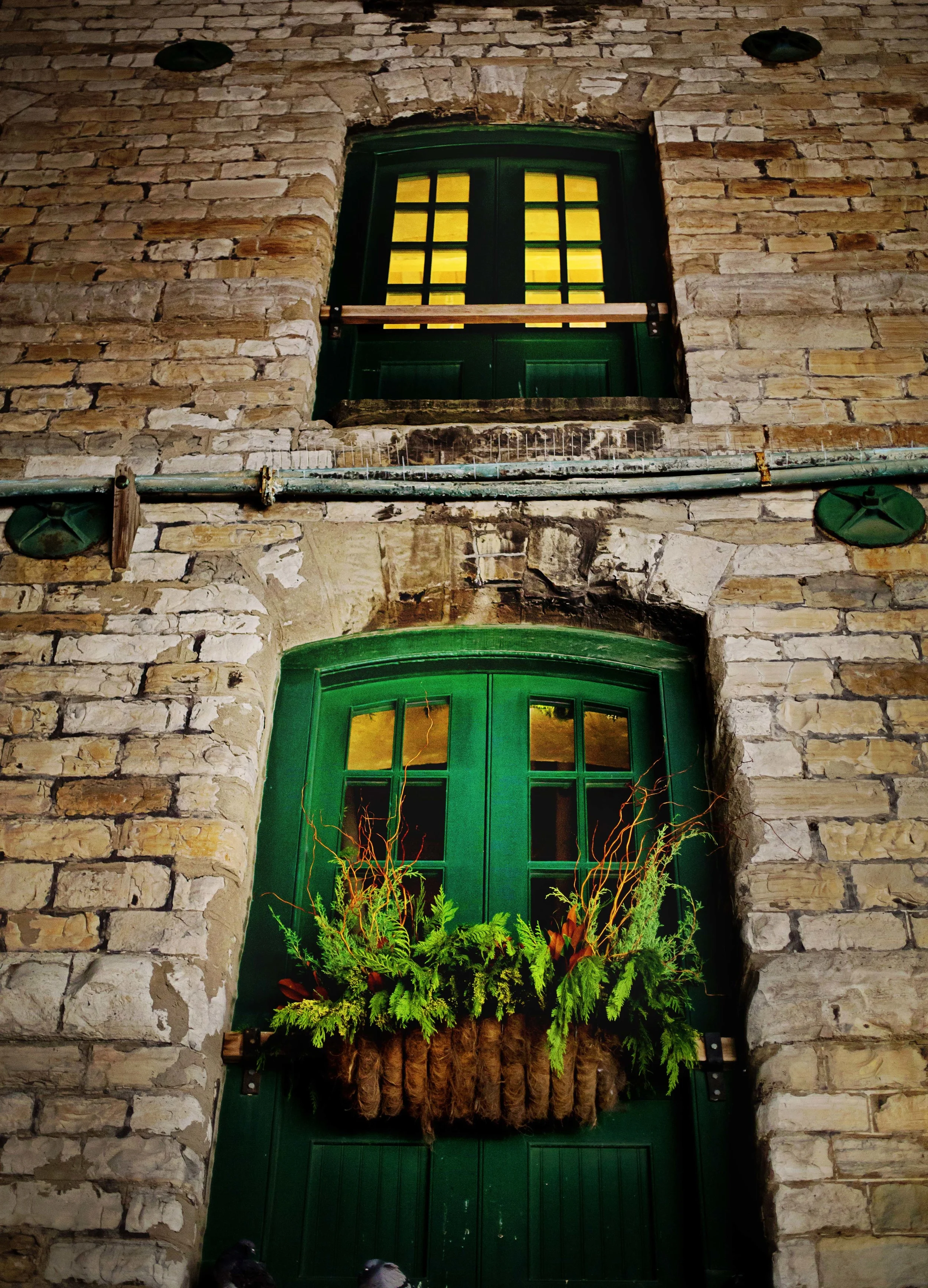 Green Windows